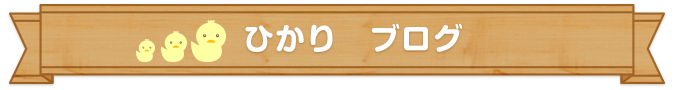 ひかり　ブログ